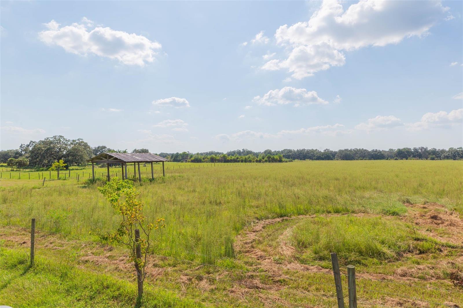 Image 69 of 83 For 16225 Bellamy Brothers Boulevard