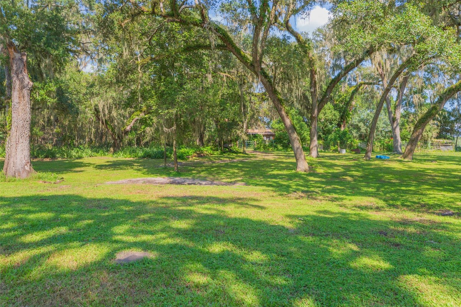 Image 7 of 83 For 16225 Bellamy Brothers Boulevard