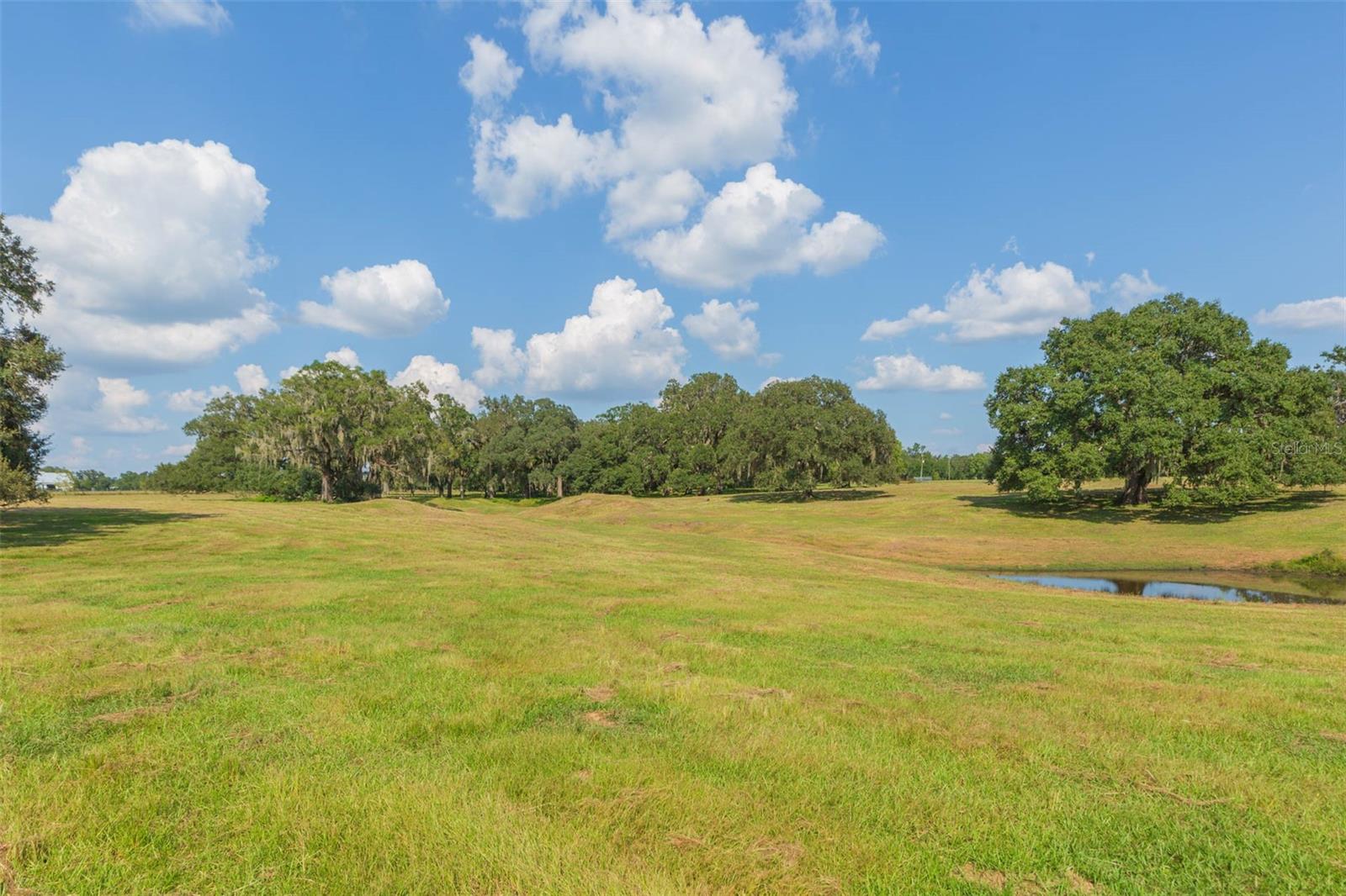 Image 70 of 83 For 16225 Bellamy Brothers Boulevard