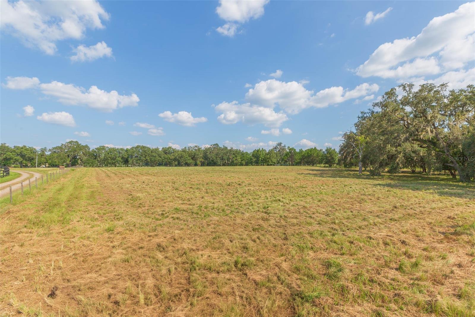 Image 72 of 83 For 16225 Bellamy Brothers Boulevard