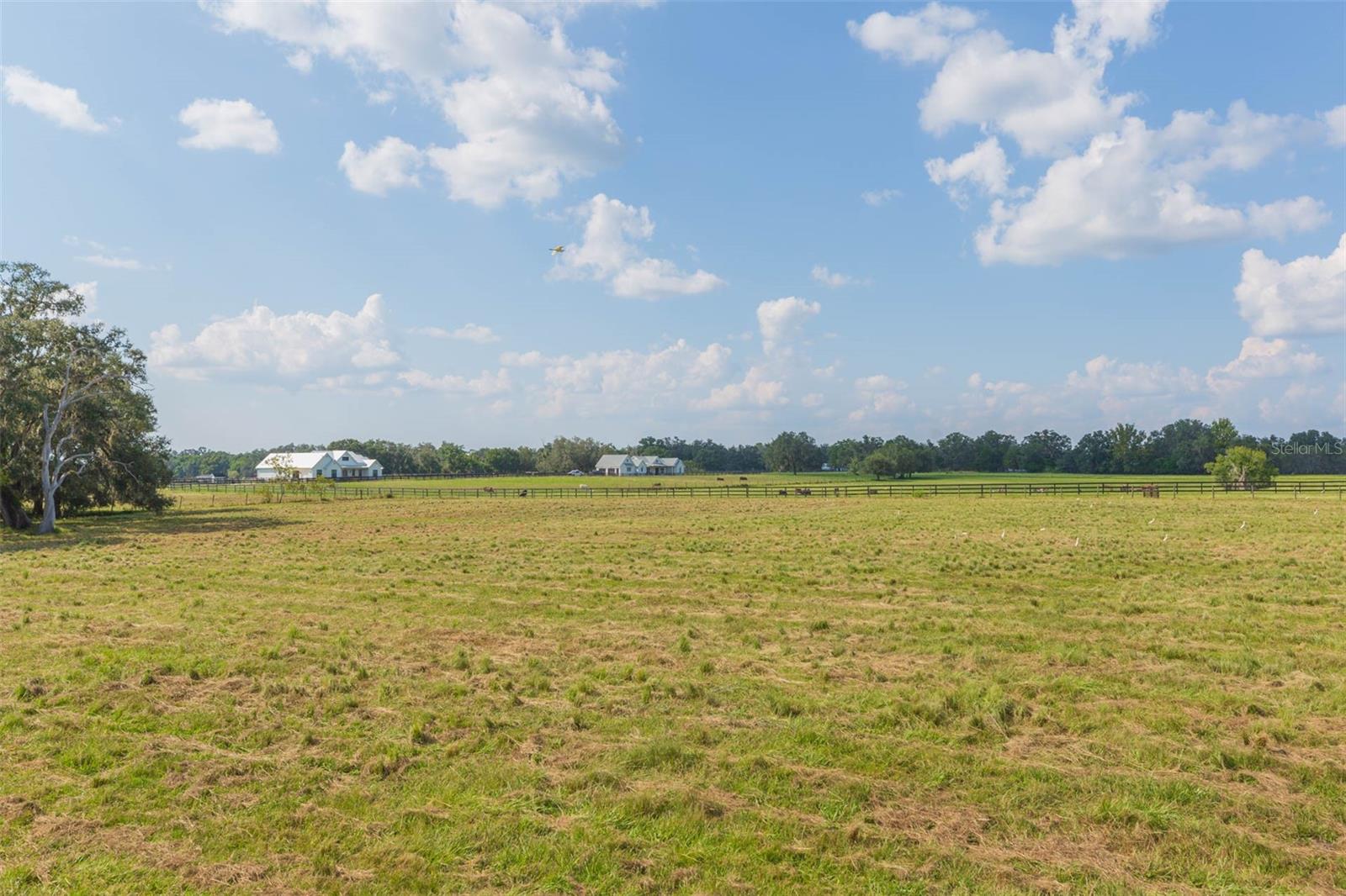 Image 73 of 83 For 16225 Bellamy Brothers Boulevard