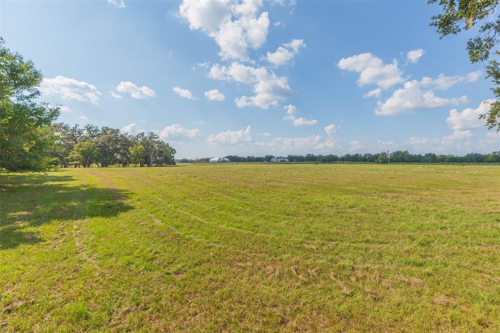 Image 74 of 83 For 16225 Bellamy Brothers Boulevard