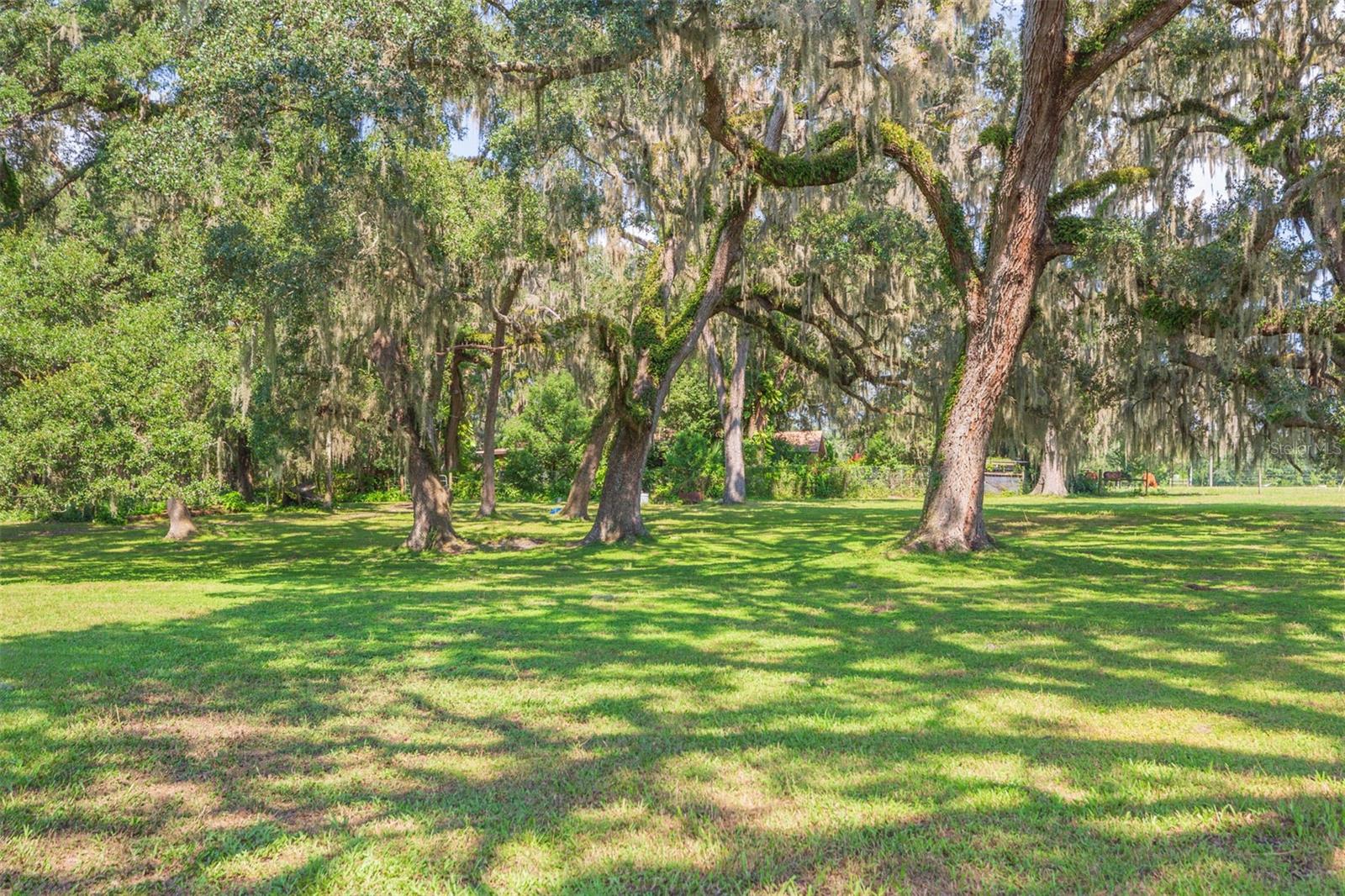 Image 8 of 83 For 16225 Bellamy Brothers Boulevard