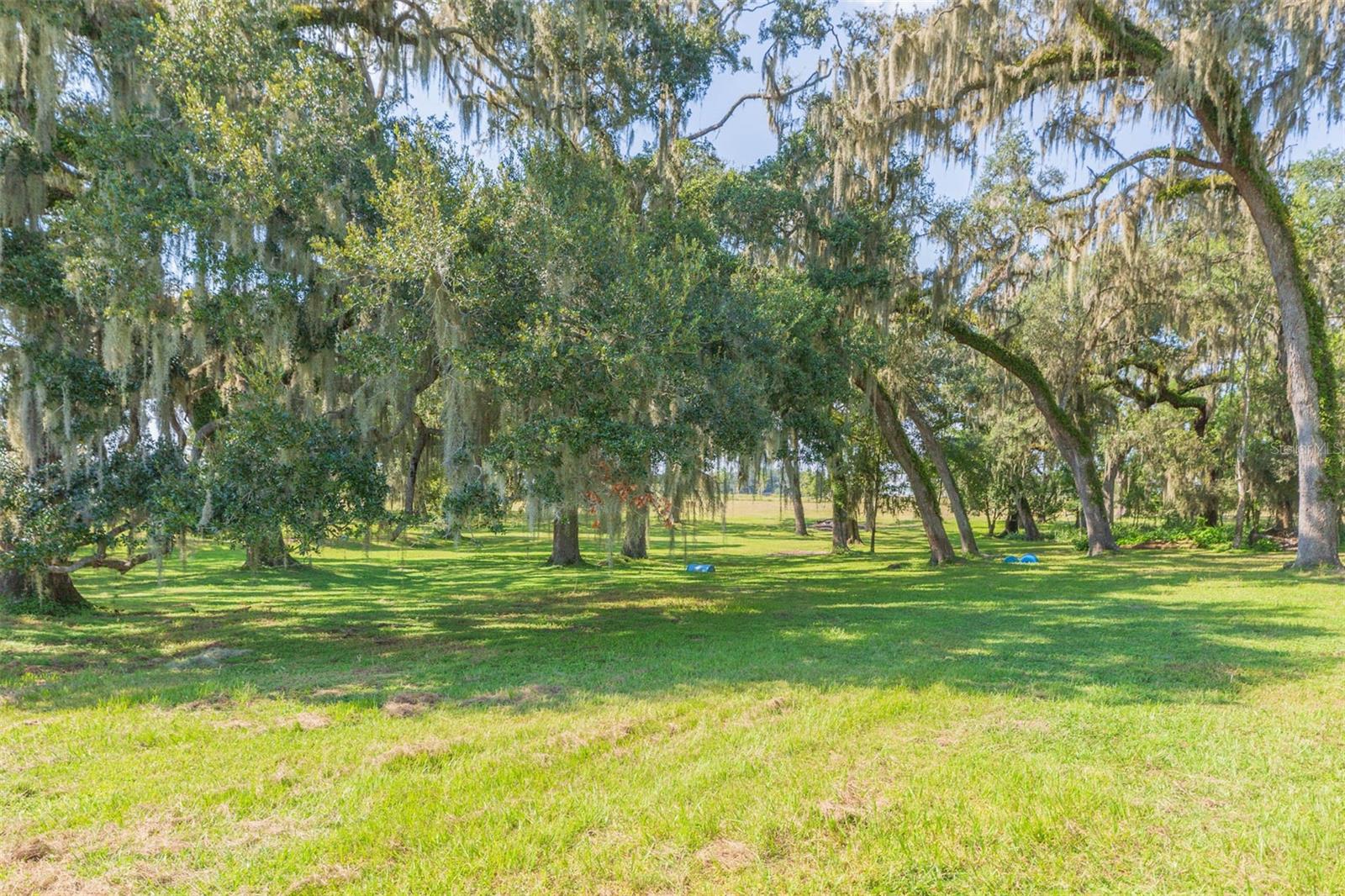 Image 9 of 83 For 16225 Bellamy Brothers Boulevard