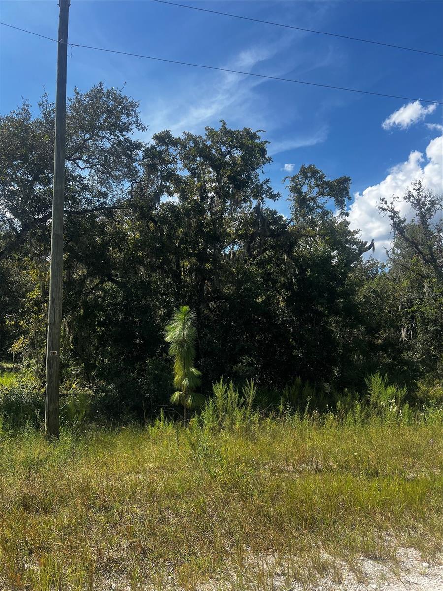 Listing photo id 3 for 0 Crider Road