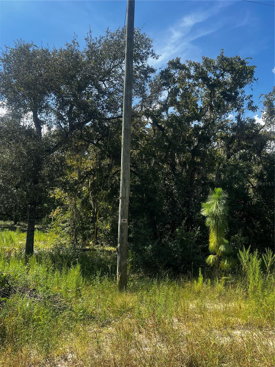 Listing photo id 4 for 0 Crider Road