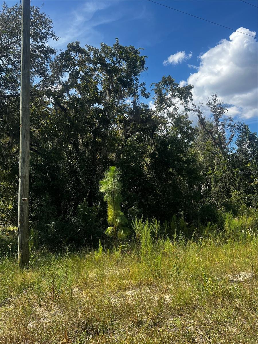 Listing photo id 5 for 0 Crider Road