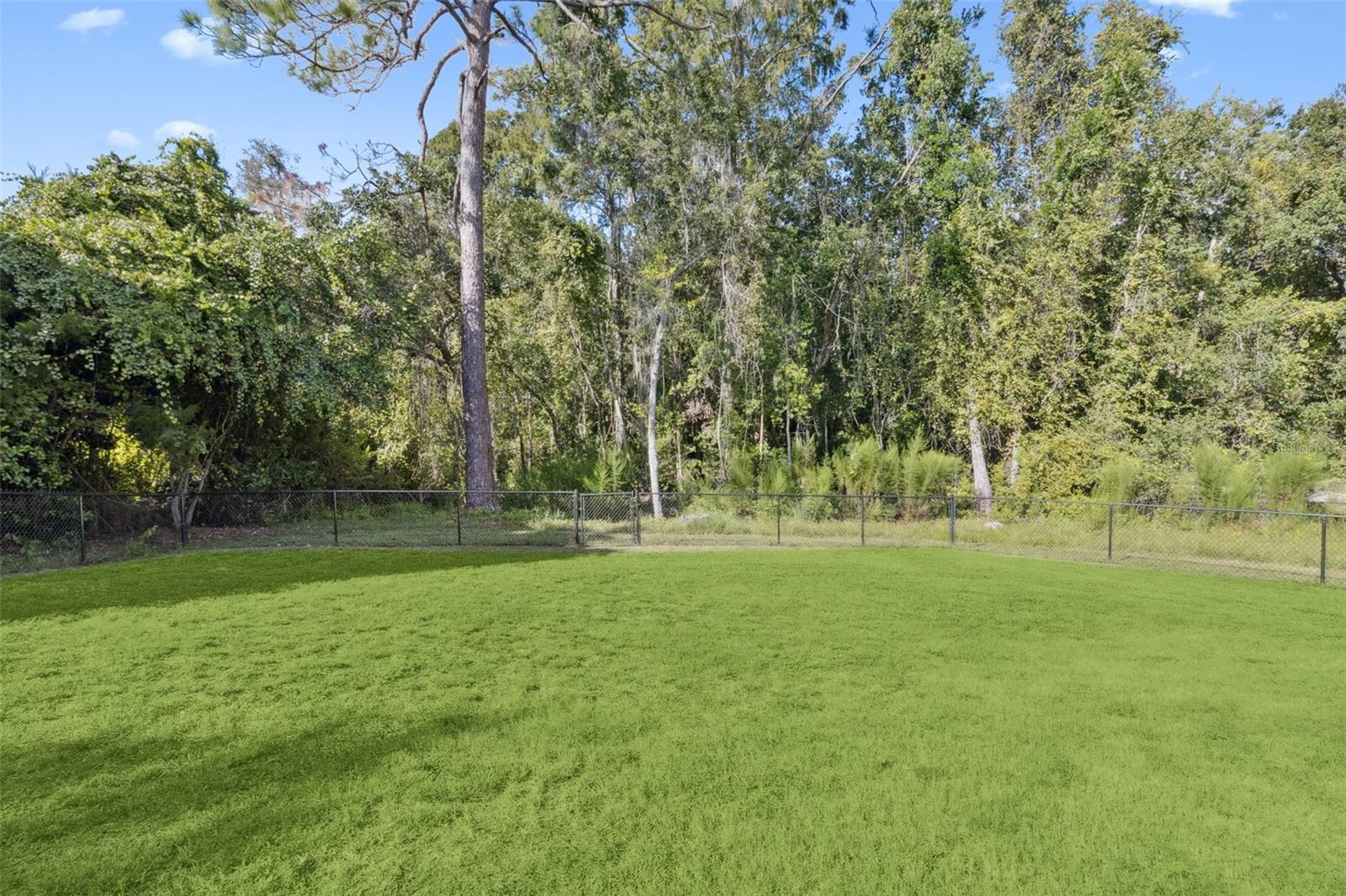 Image 46 of 55 For 11227 Lakeview Drive