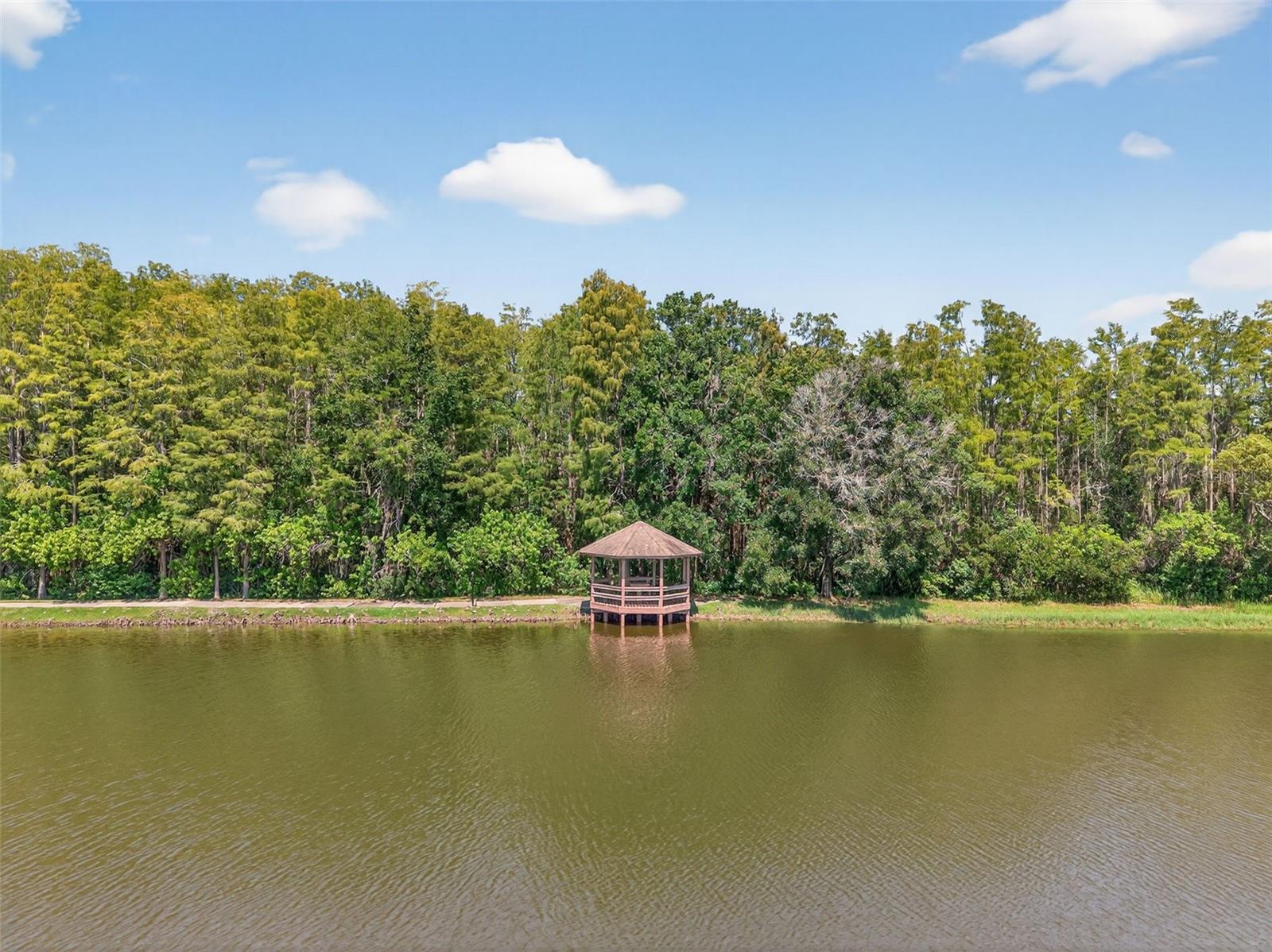 Listing photo id 51 for 4916 Troon Lane