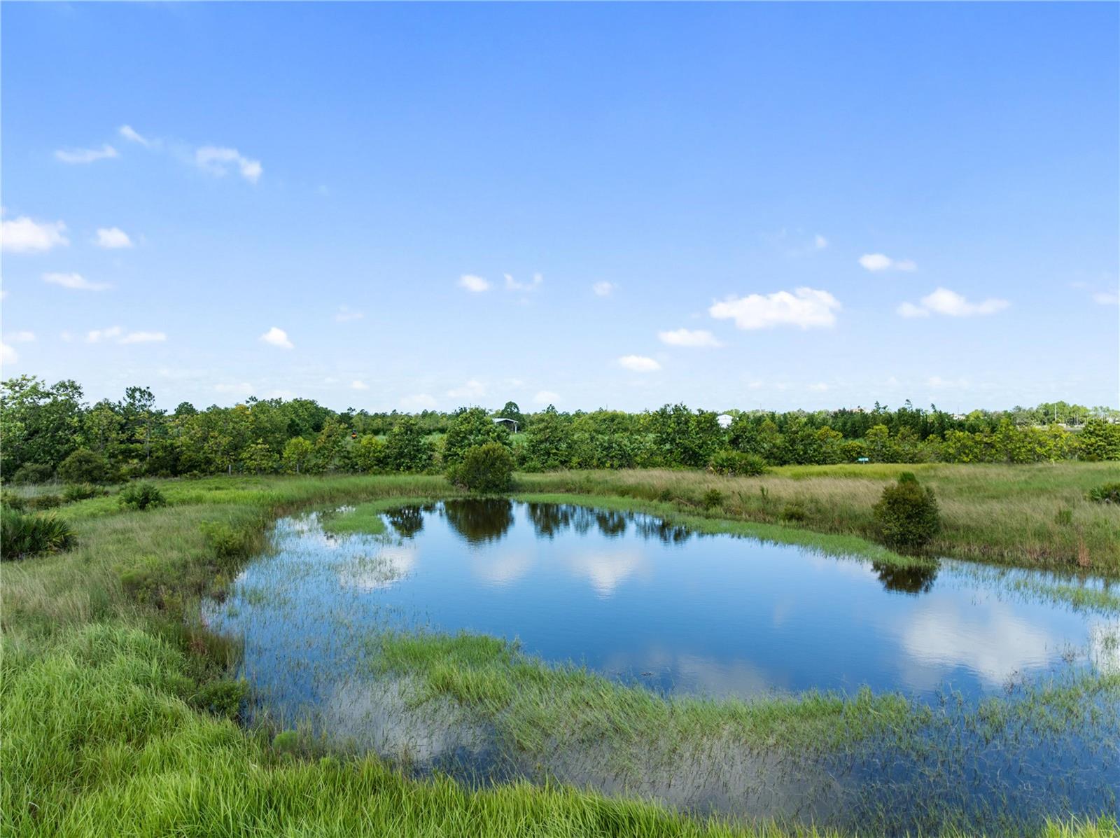 Image 11 of 11 For 48941 Bermont Road