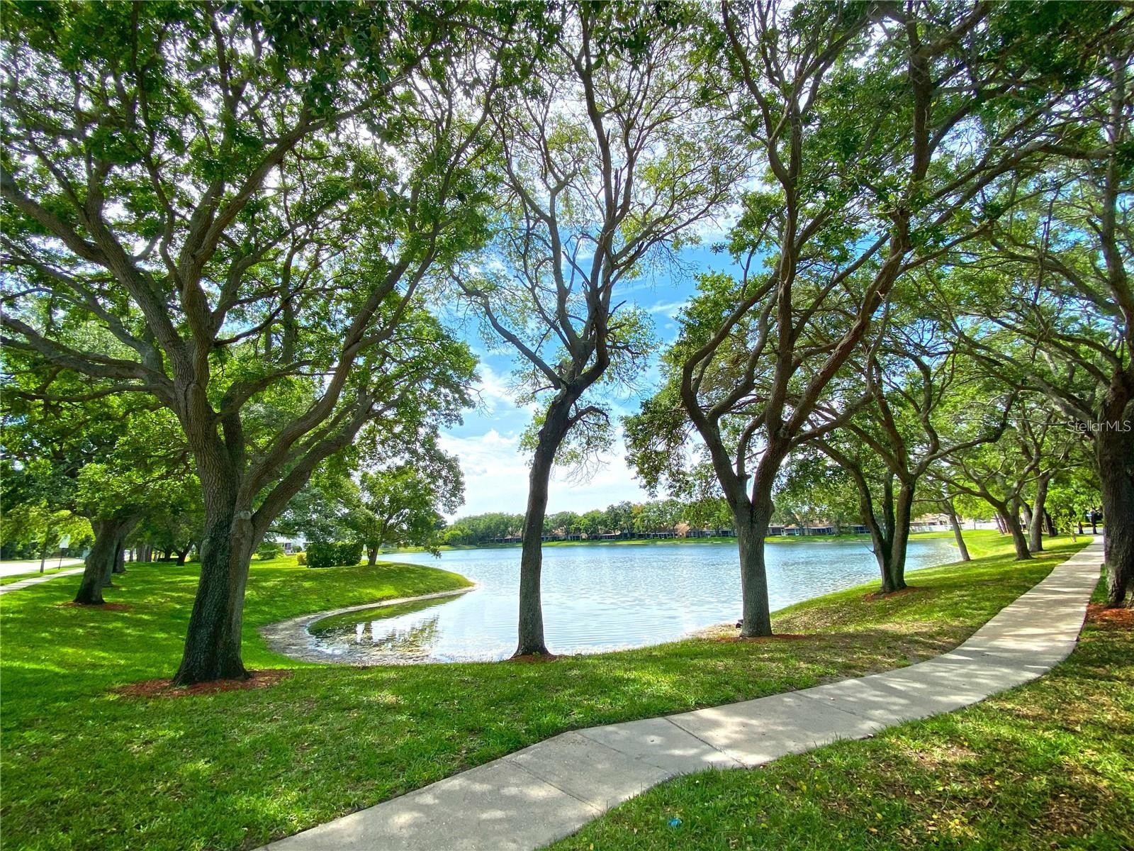Image 22 of 24 For 3054 Branch Drive