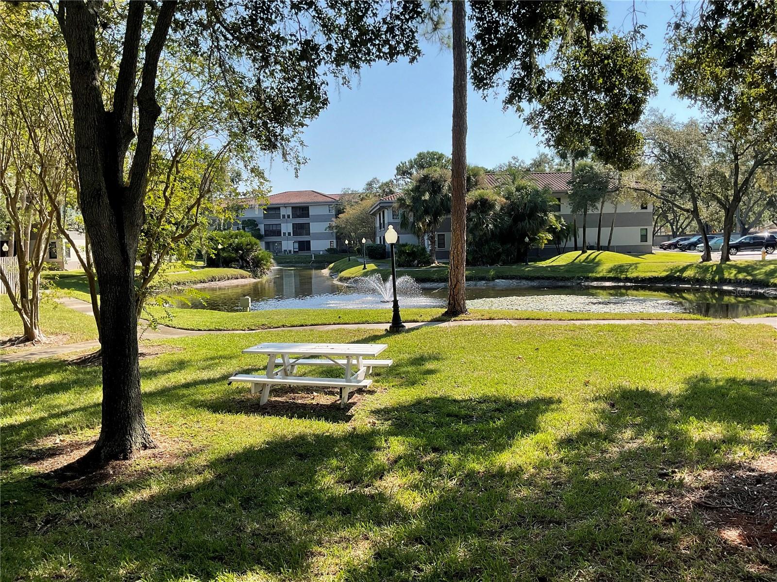 Image 27 of 30 For 2650 Countryside Boulevard F202