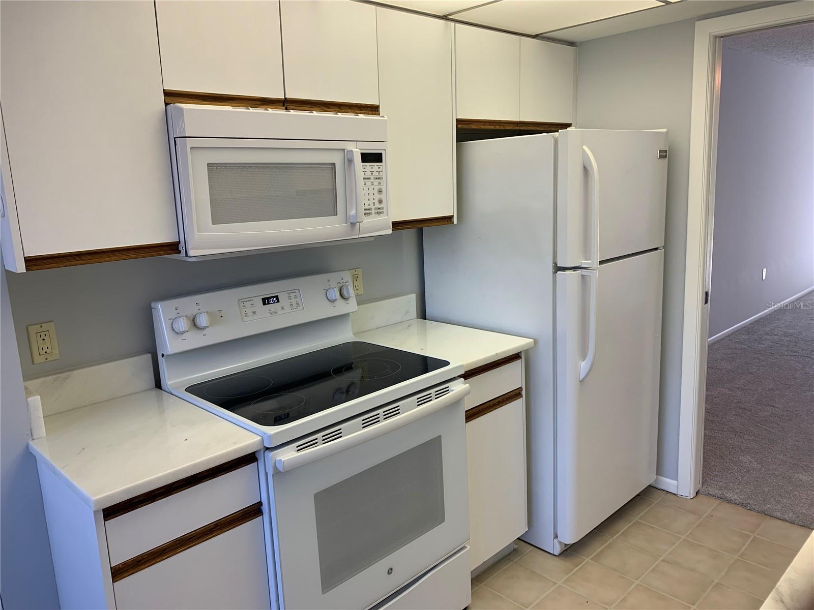 Image 4 of 28 For 1320 Pasadena Avenue S 107