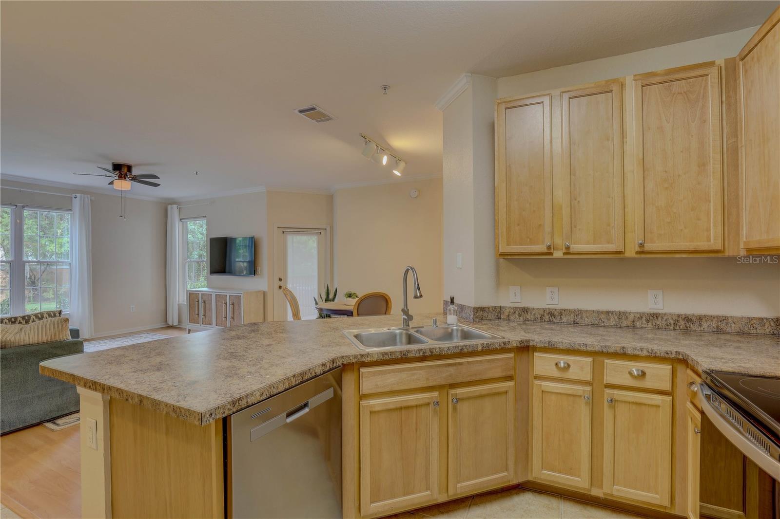 Image 3 of 30 For 2407 Courtney Meadows Court 103