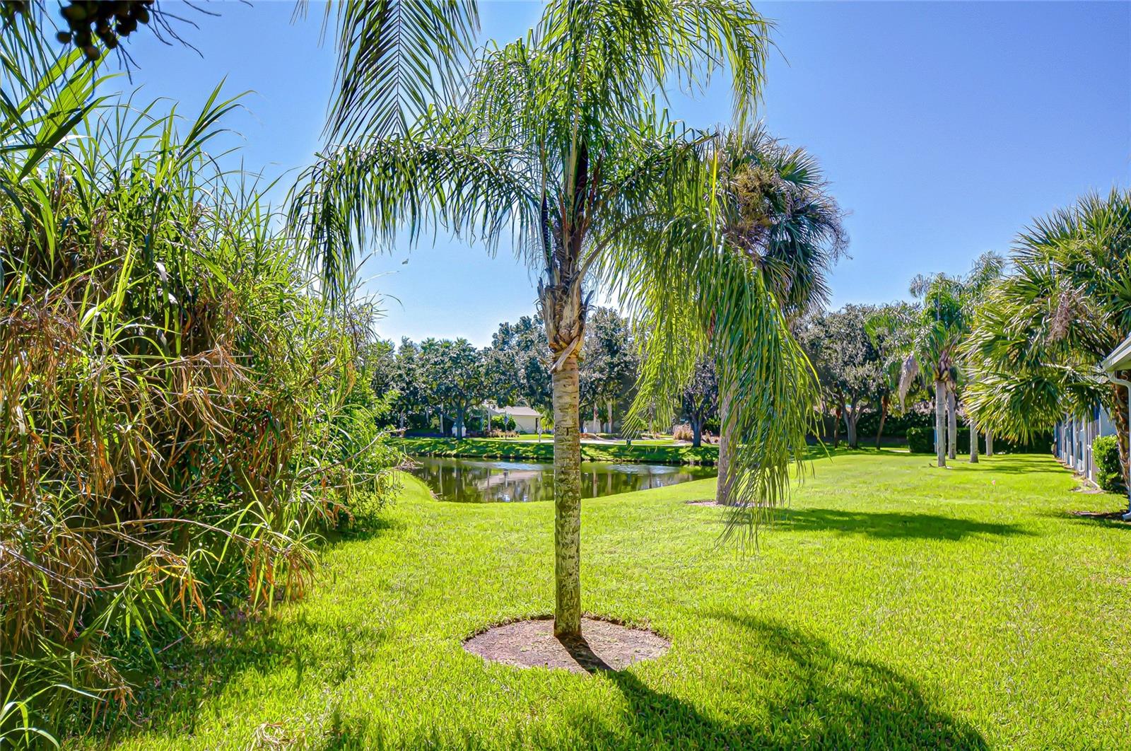 Image 3 of 27 For 11025 Winter Crest Drive