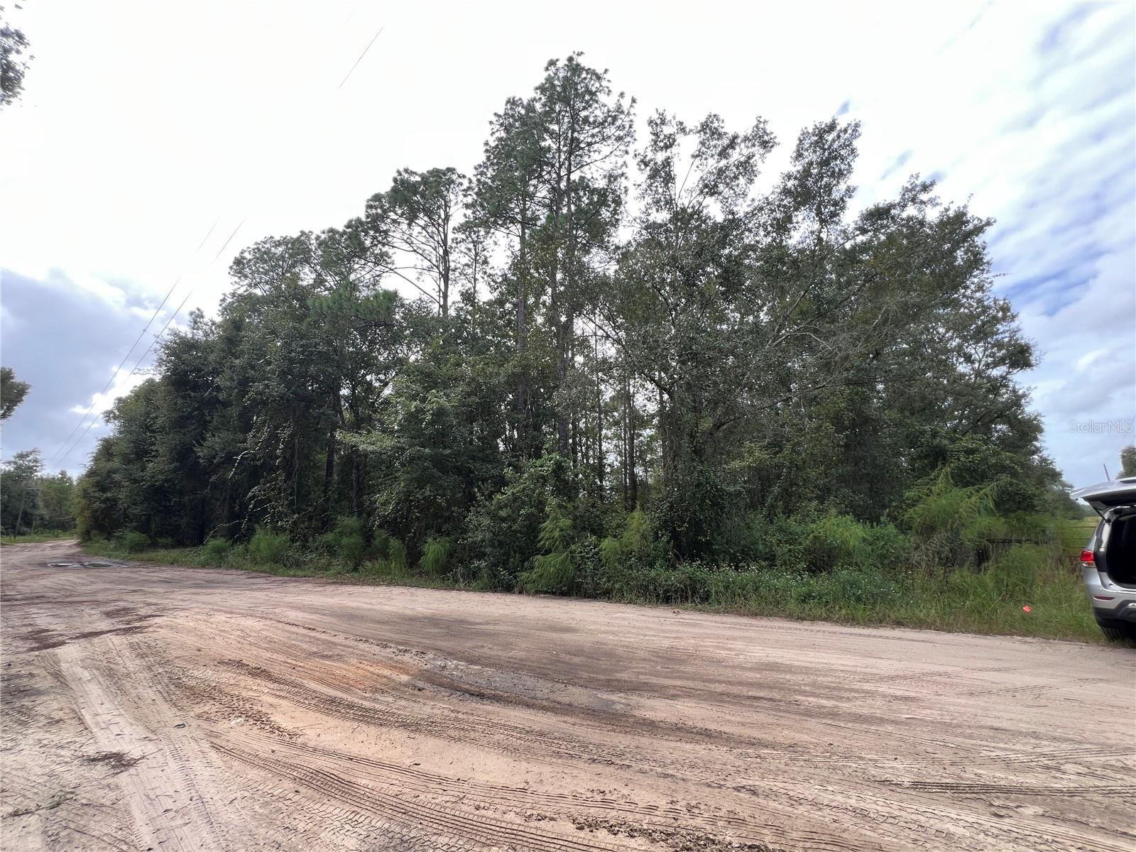 Image 6 of 13 For Tbd Dane Lane