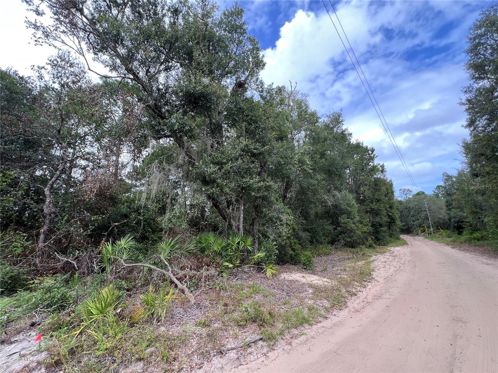 Image 7 of 13 For Tbd Dane Lane