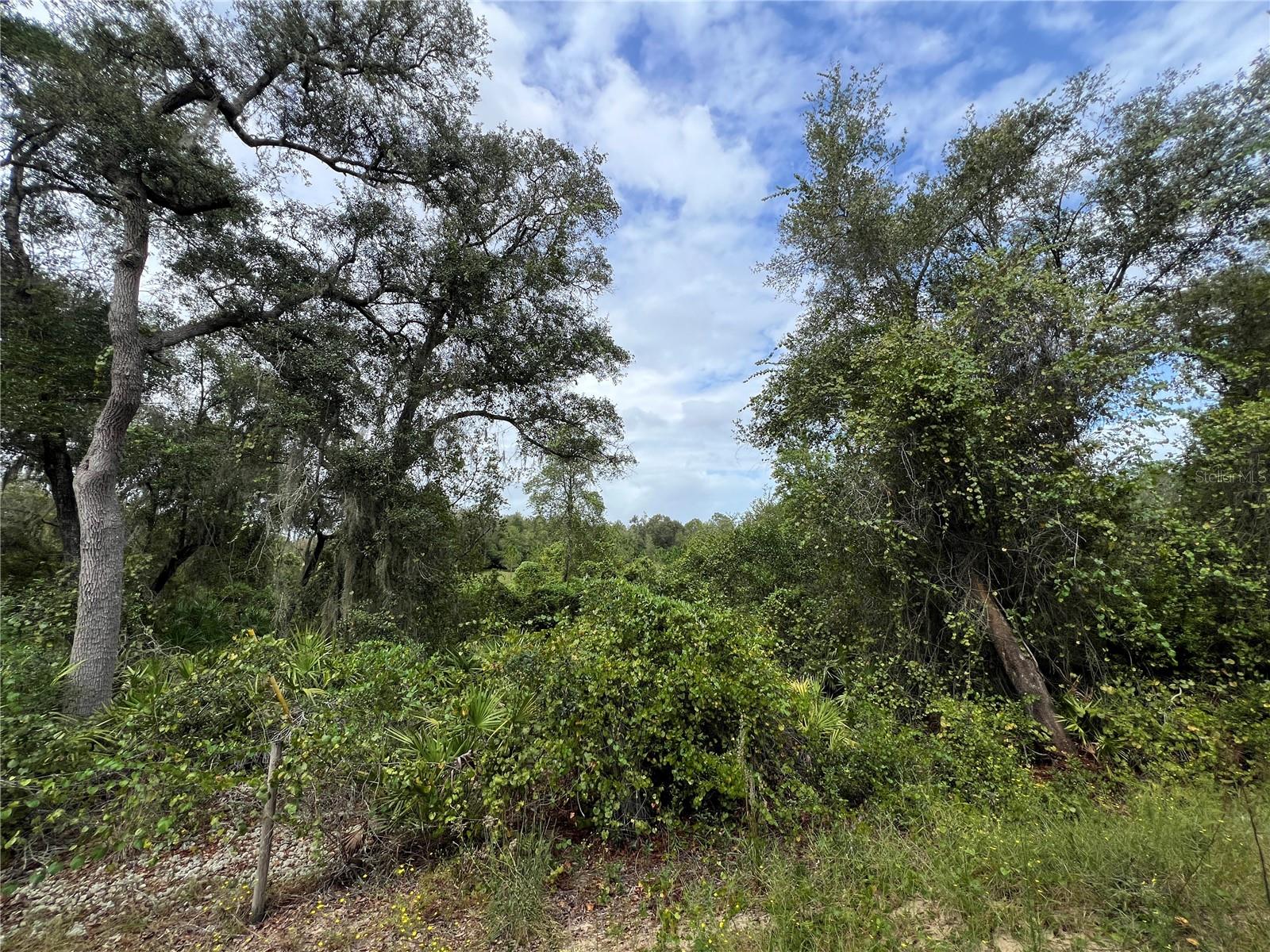 Image 8 of 13 For Tbd Dane Lane