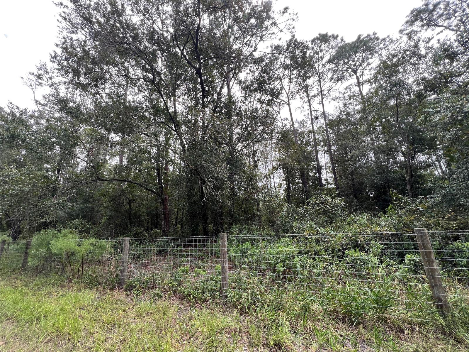 Image 9 of 13 For Tbd Dane Lane