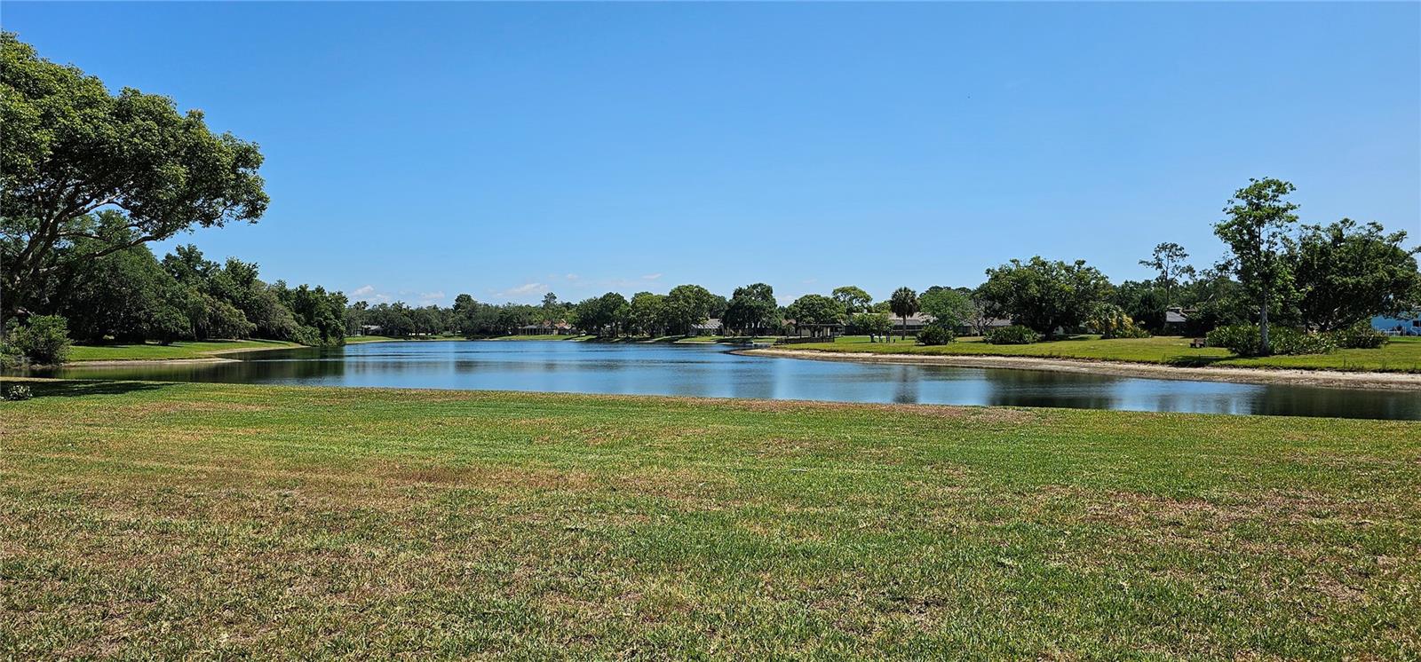 Image 45 of 53 For 6491 Laurel Oak Drive