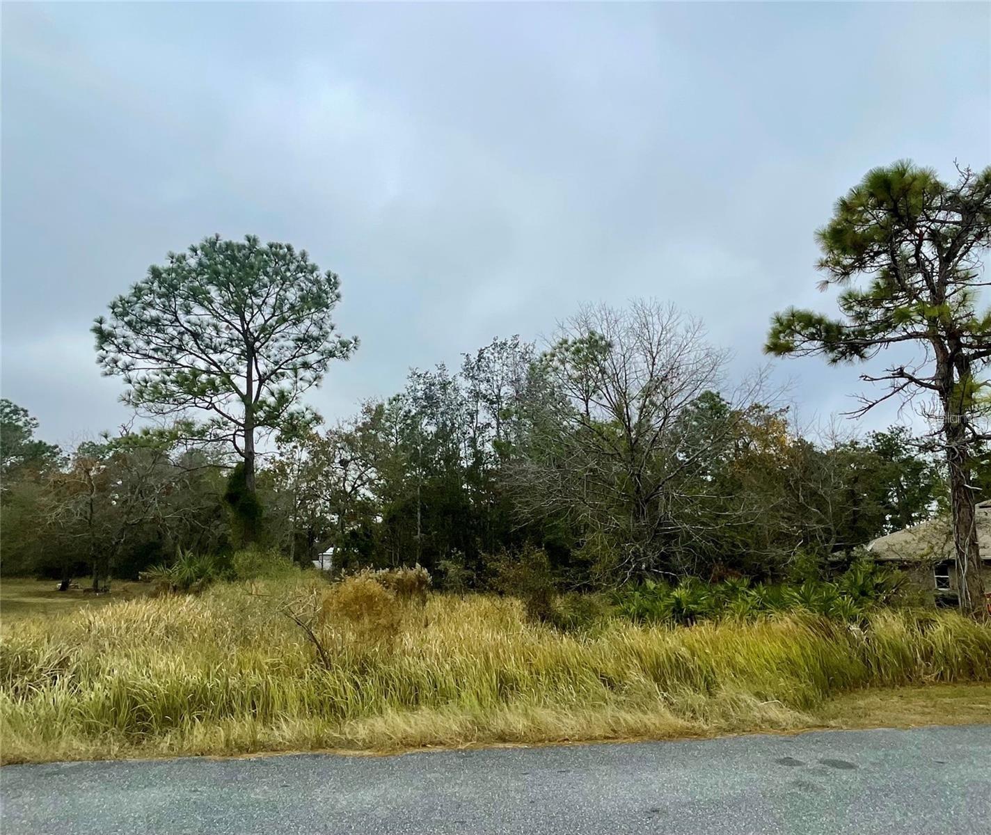 Details for Lot 16 Golden Warbler Rd, WEEKI WACHEE, FL 34613