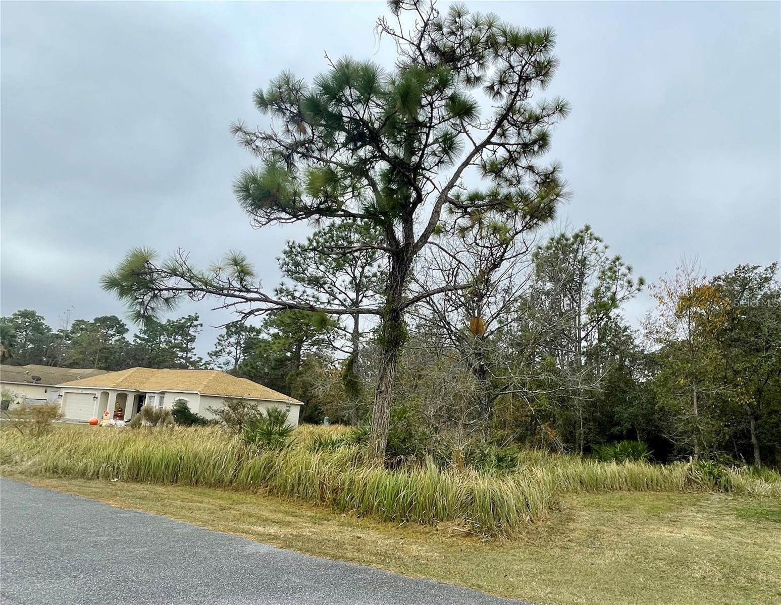 Image 2 of 4 For Lot 16 Golden Warbler Rd