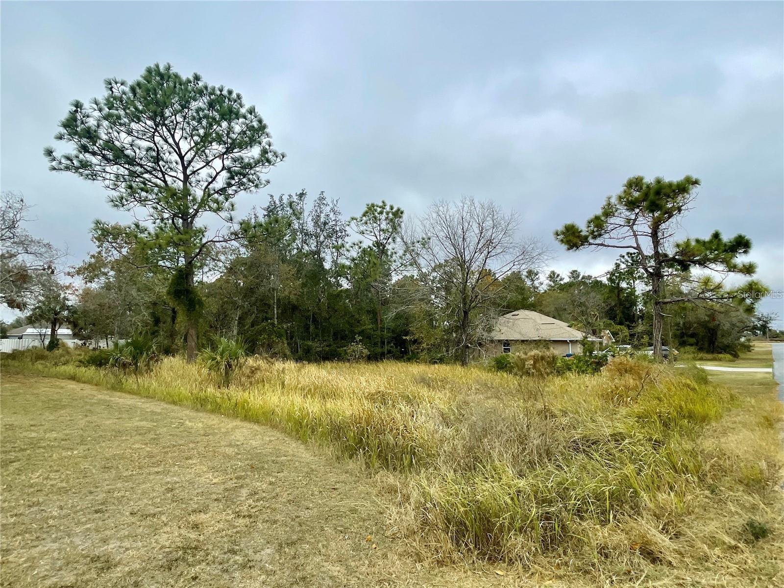 Image 4 of 4 For Lot 16 Golden Warbler Rd