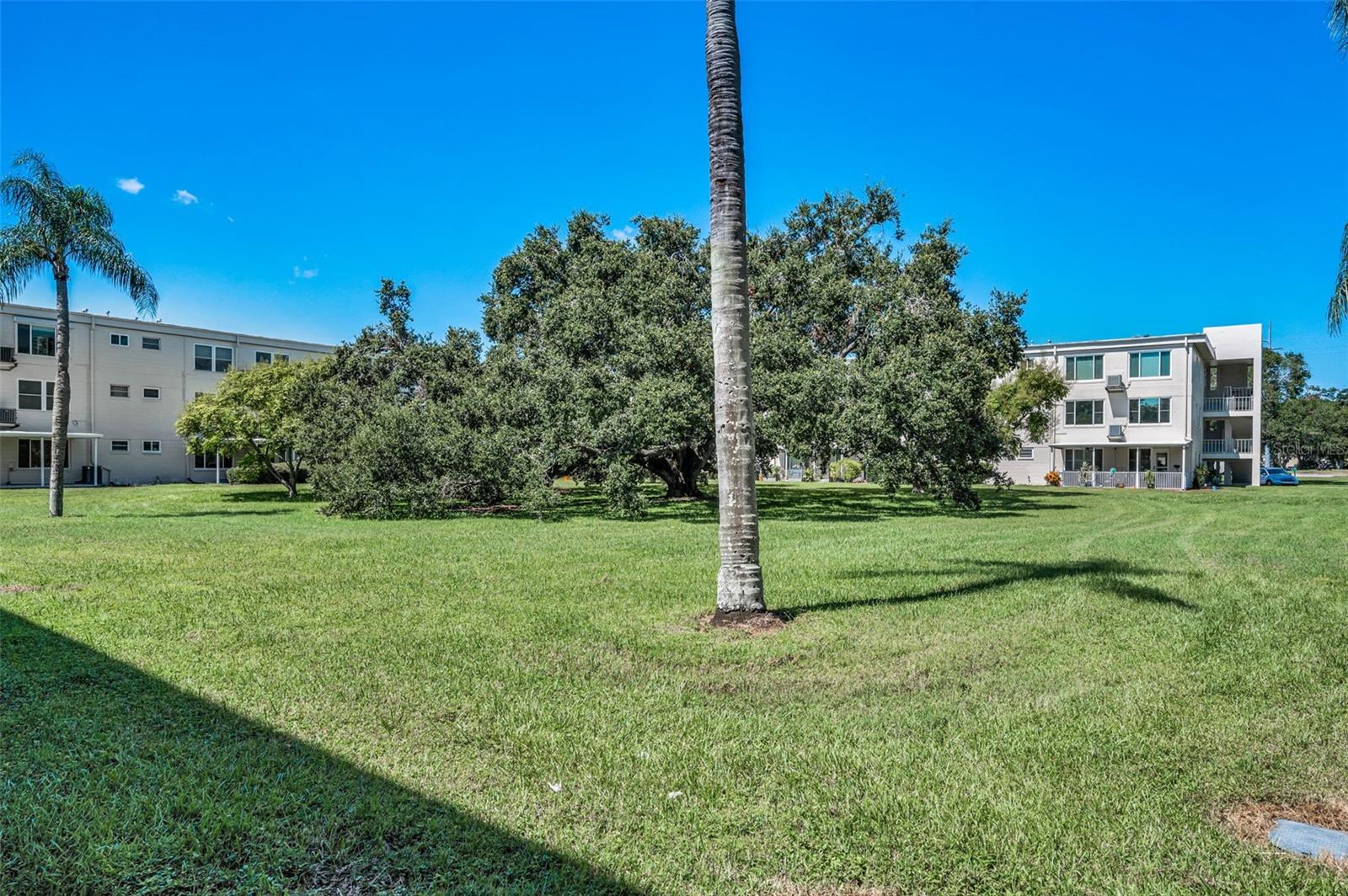 Image 32 of 67 For 2402 Ecuadorian Way 10