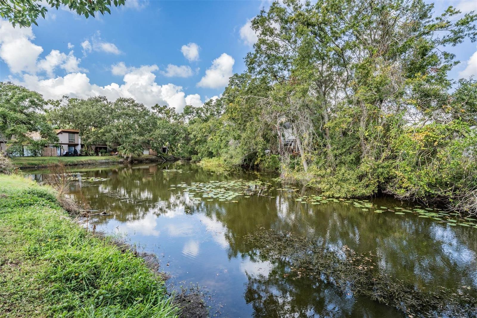 Image 40 of 48 For 4103 Muriel Place 5-d