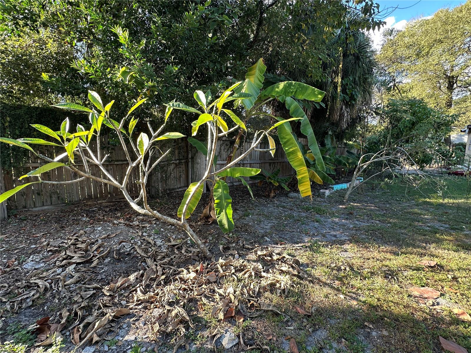 Image 38 of 56 For 8412 15th Street