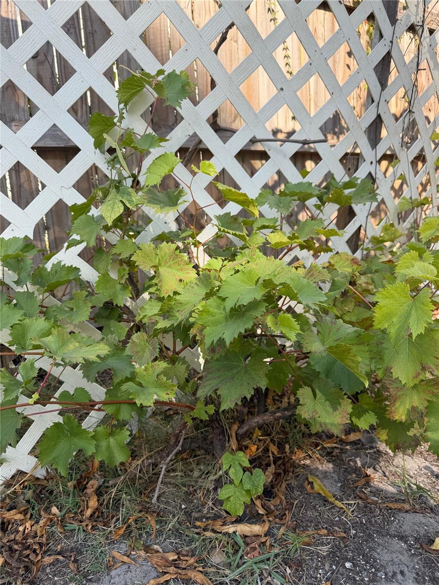 Image 45 of 56 For 8412 15th Street