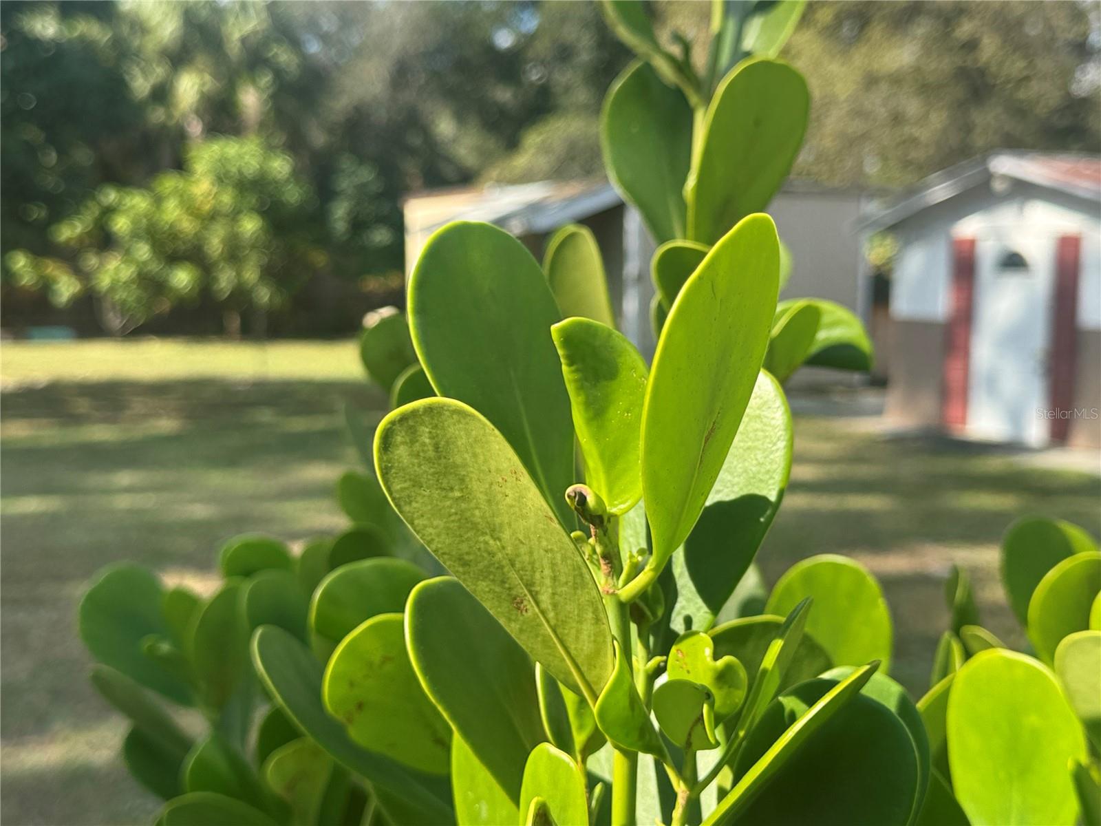 Image 50 of 56 For 8412 15th Street