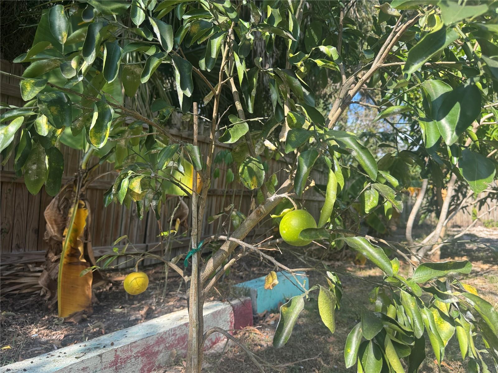 Image 51 of 56 For 8412 15th Street