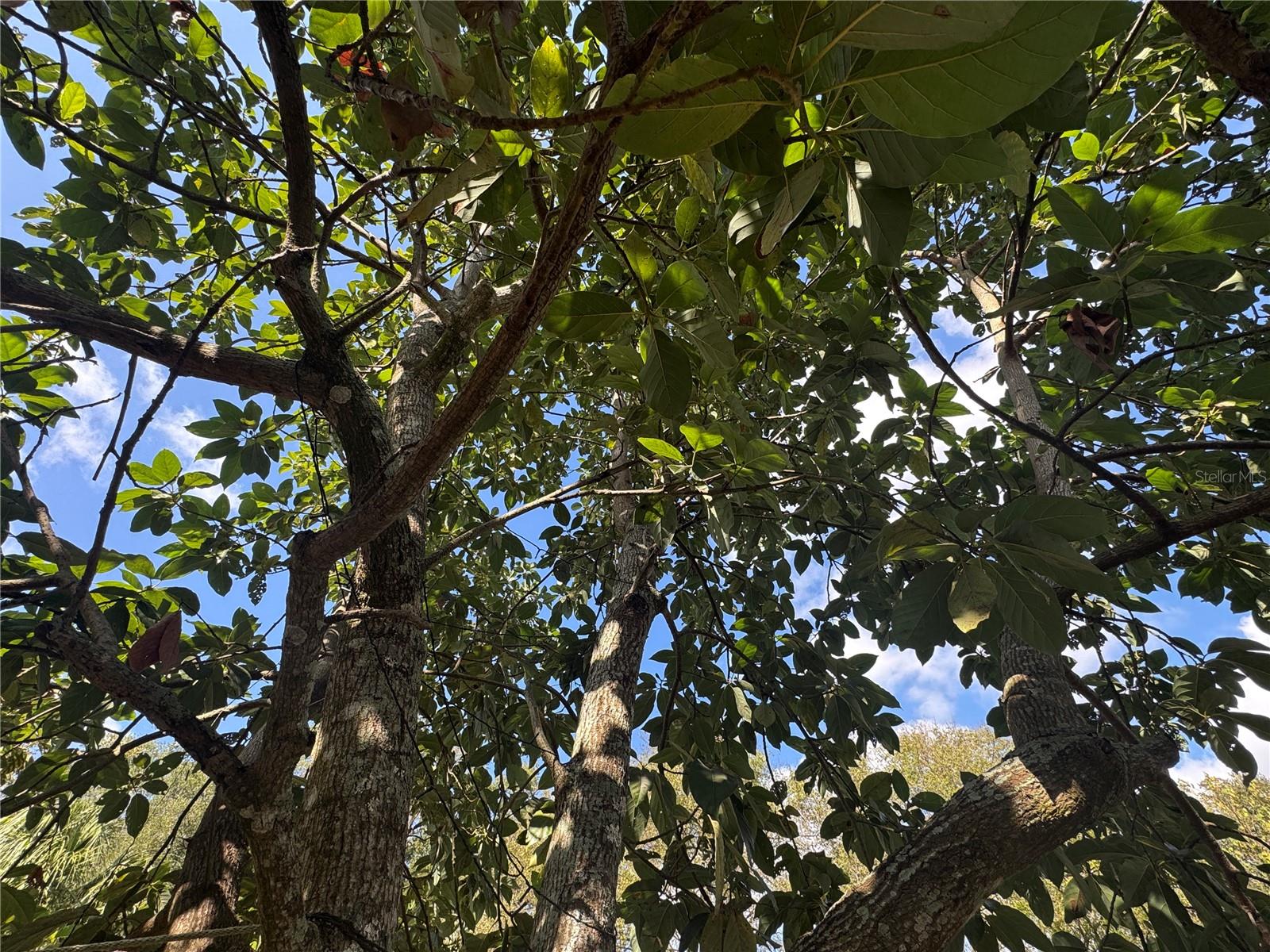 Image 53 of 56 For 8412 15th Street