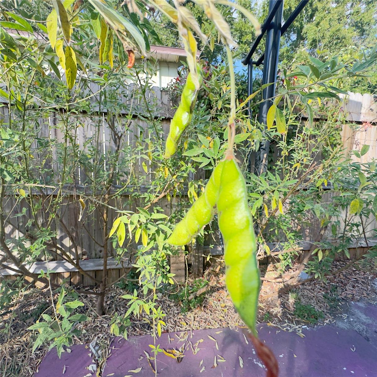 Image 55 of 56 For 8412 15th Street