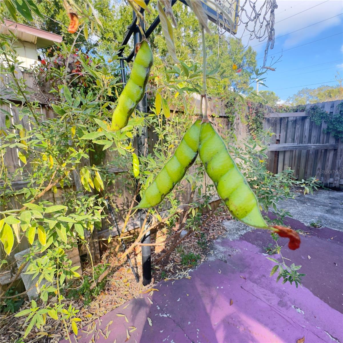 Image 56 of 56 For 8412 15th Street