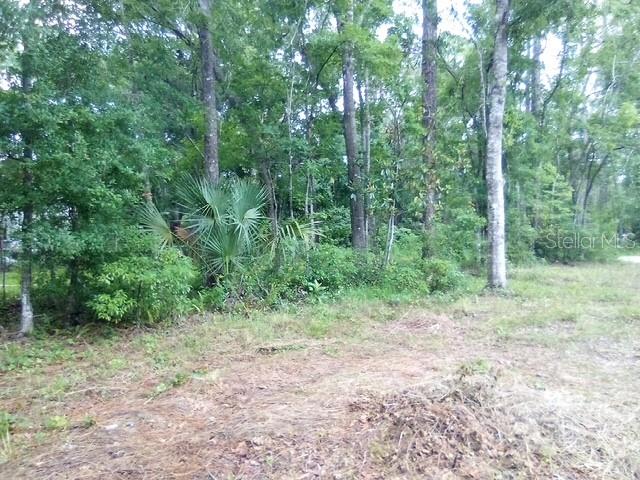 Details for 0 Salinas Avenue New Port Richey Avenue, NEW PORT RICHEY, FL 34654