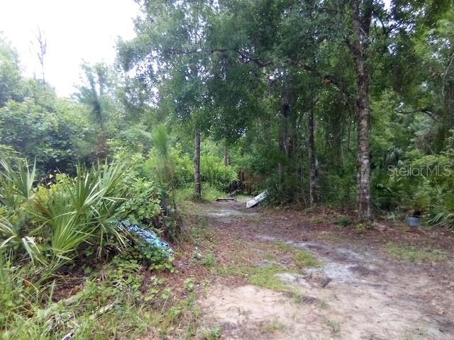 Image 4 of 5 For 0 Salinas Avenue New Port Richey Avenue