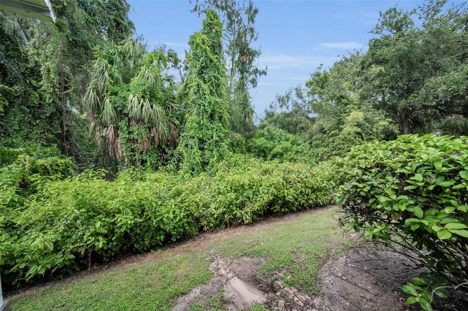 Image 40 of 57 For 1033 Bella Vista Drive Ne