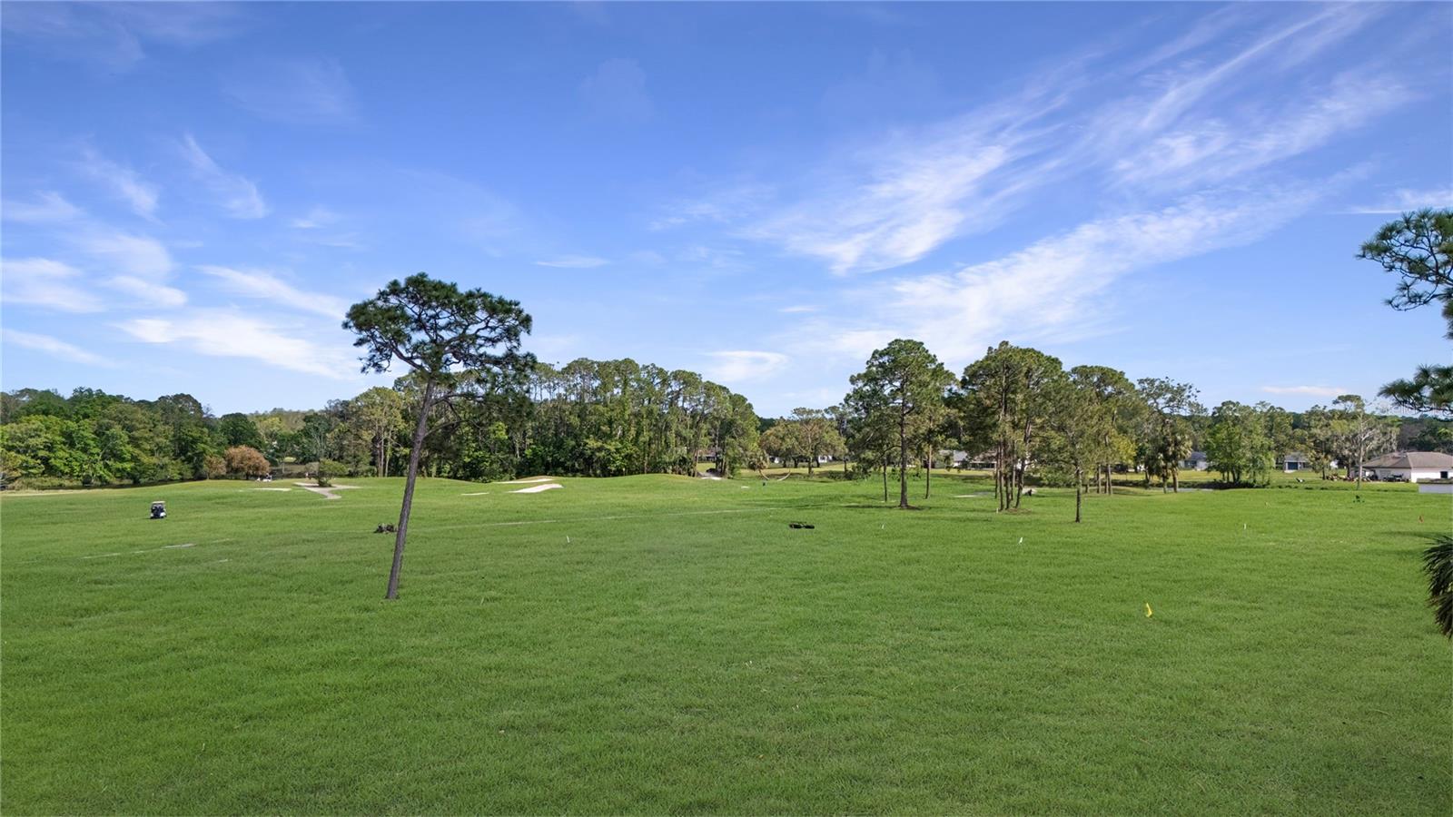 Image 34 of 36 For 11730 Carissa Lane 0