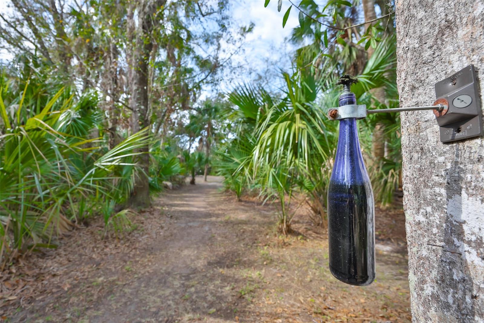 Listing photo id 66 for 3301 Timberlee Road