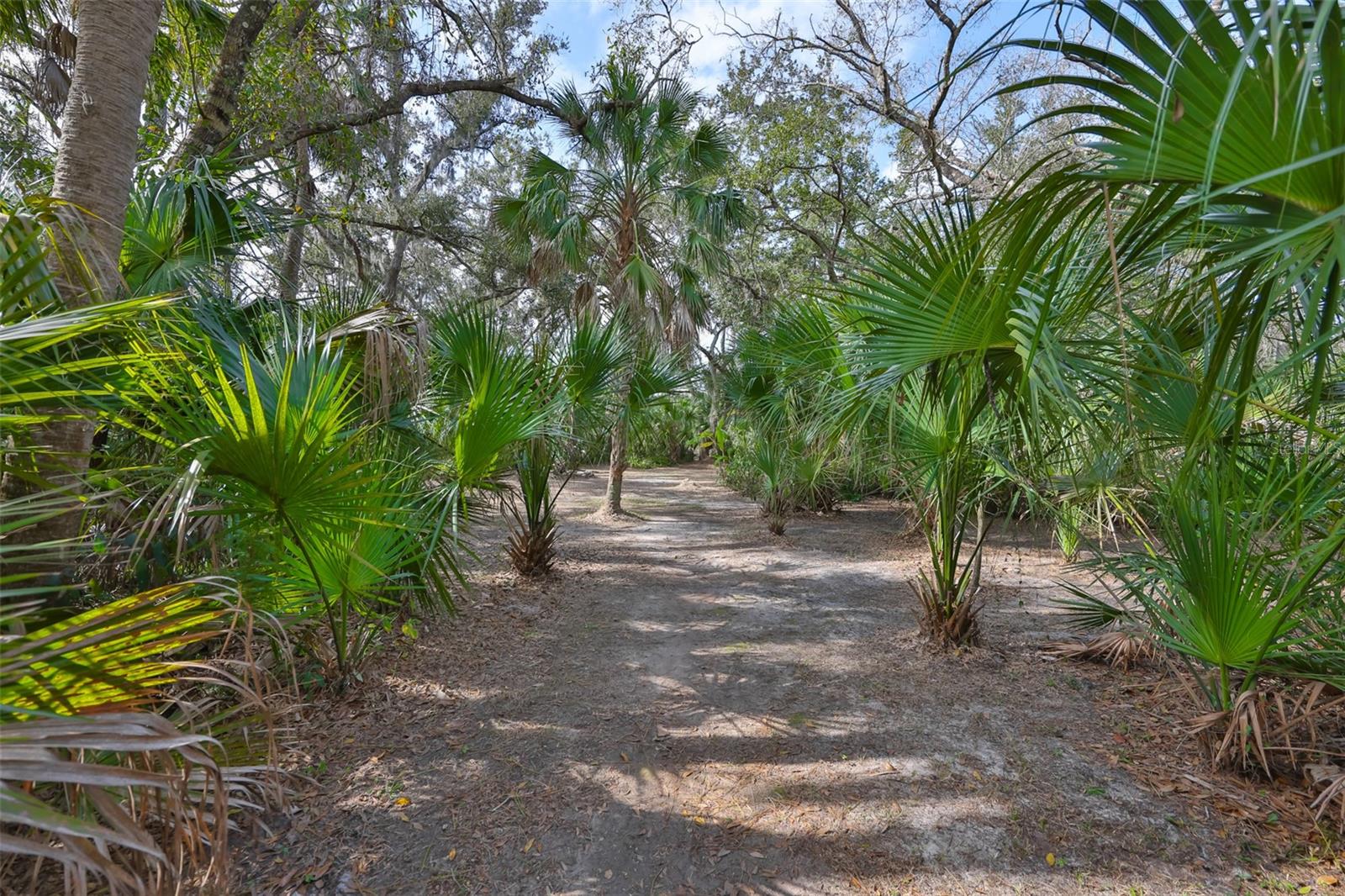 Listing photo id 68 for 3301 Timberlee Road