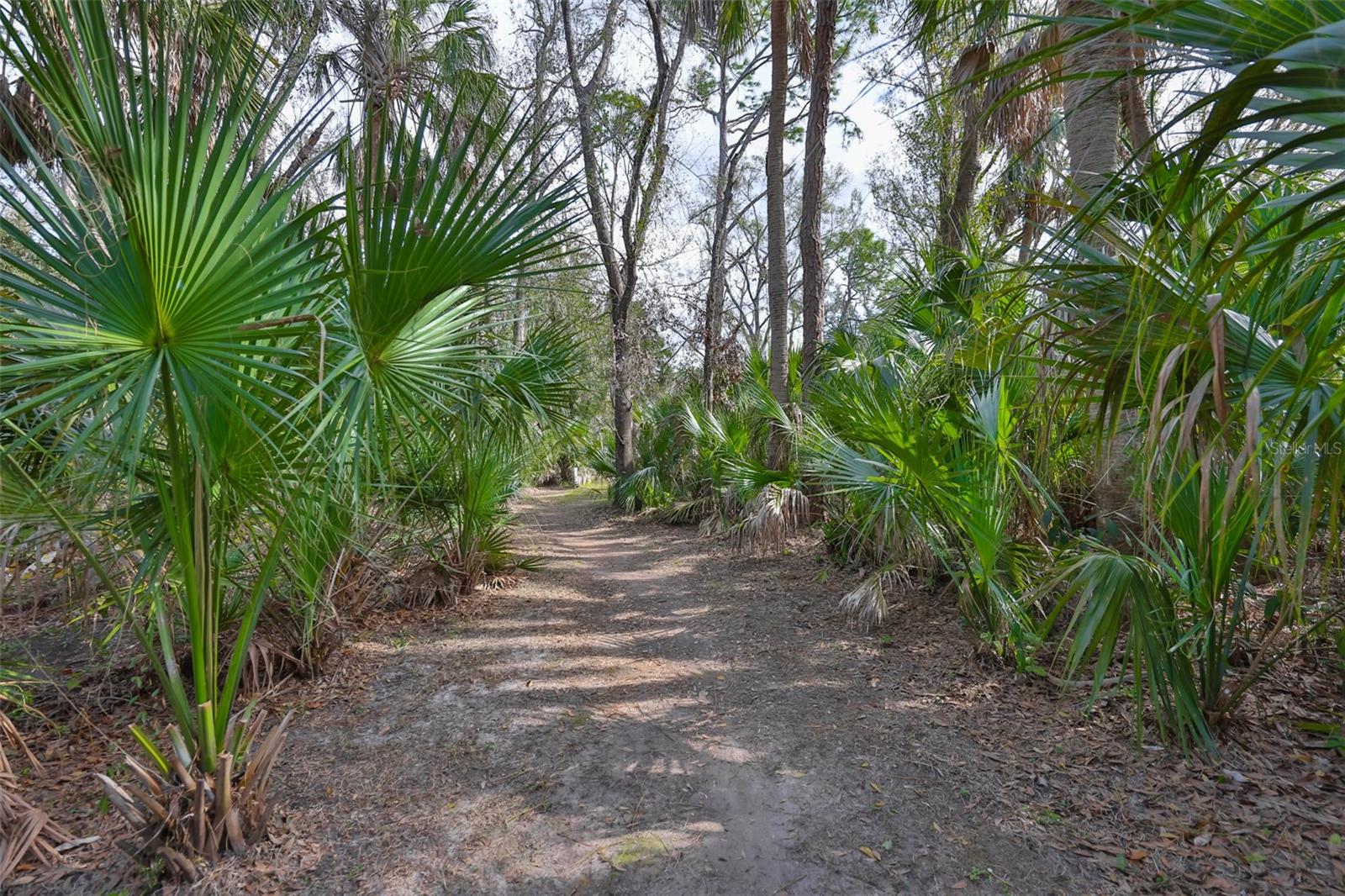 Listing photo id 69 for 3301 Timberlee Road