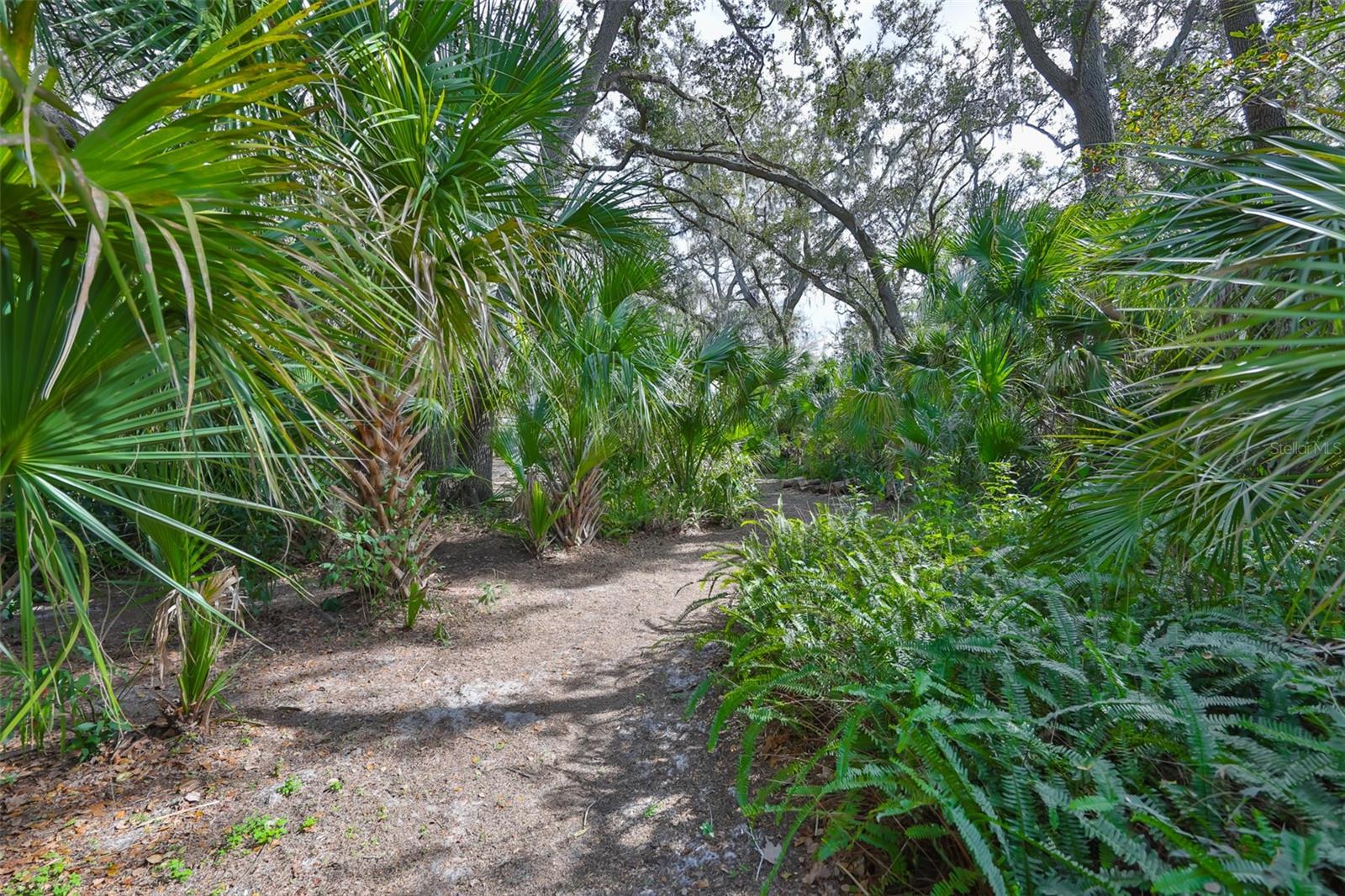 Listing photo id 73 for 3301 Timberlee Road