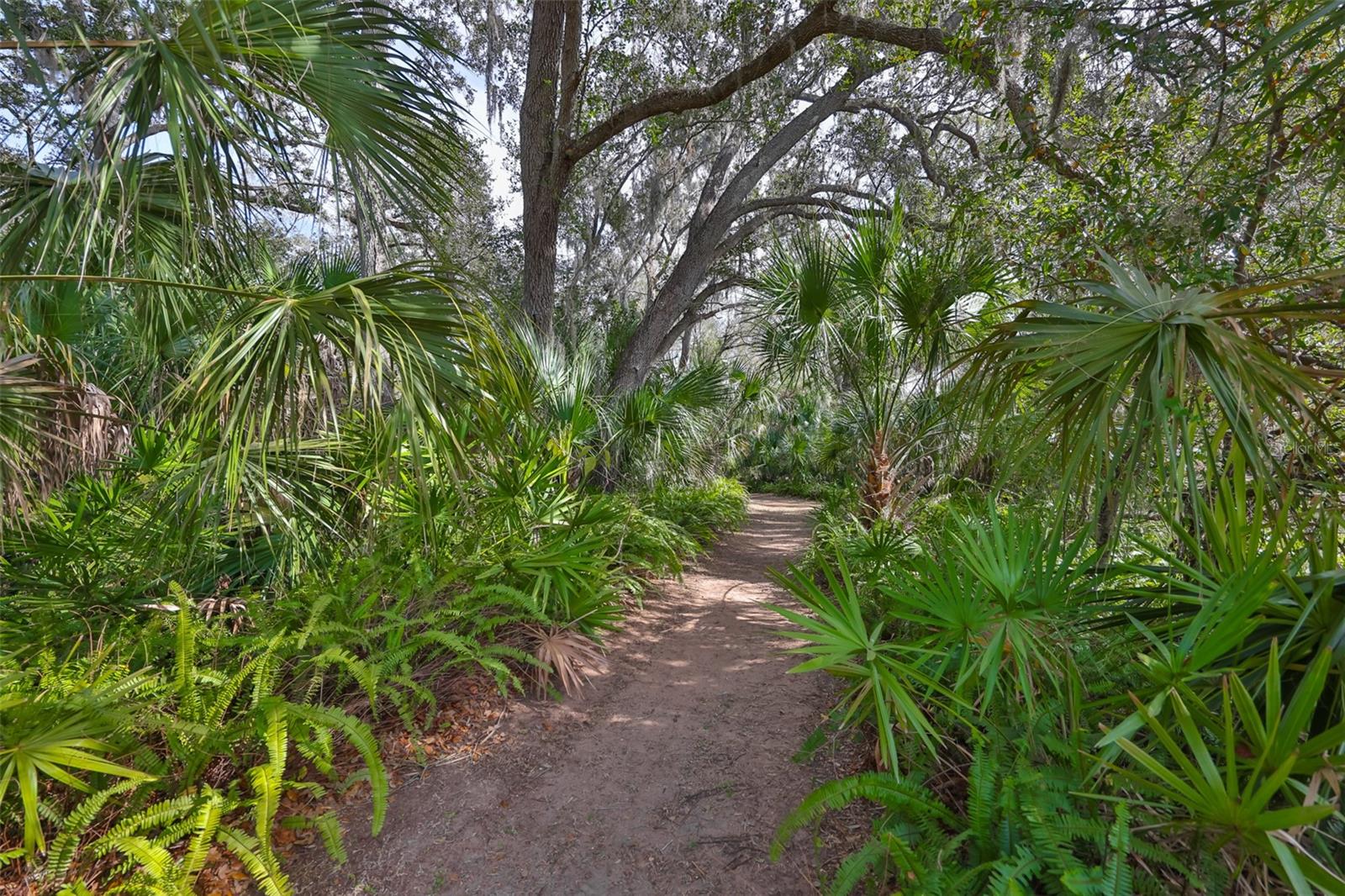 Listing photo id 77 for 3301 Timberlee Road