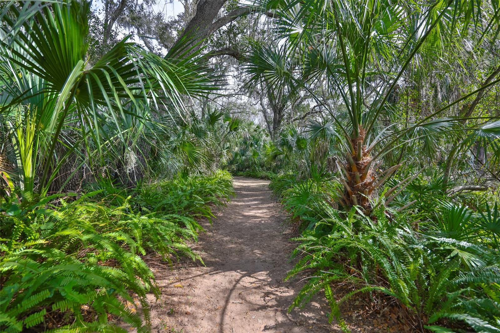 Listing photo id 78 for 3301 Timberlee Road