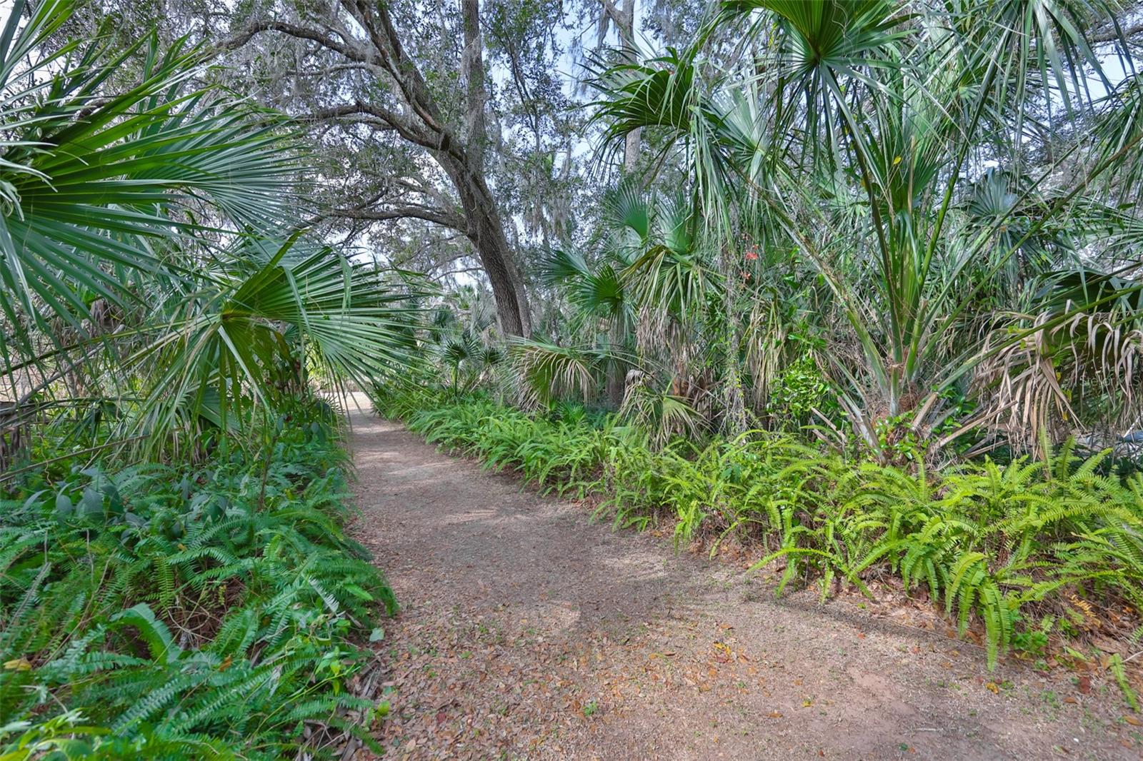 Listing photo id 79 for 3301 Timberlee Road