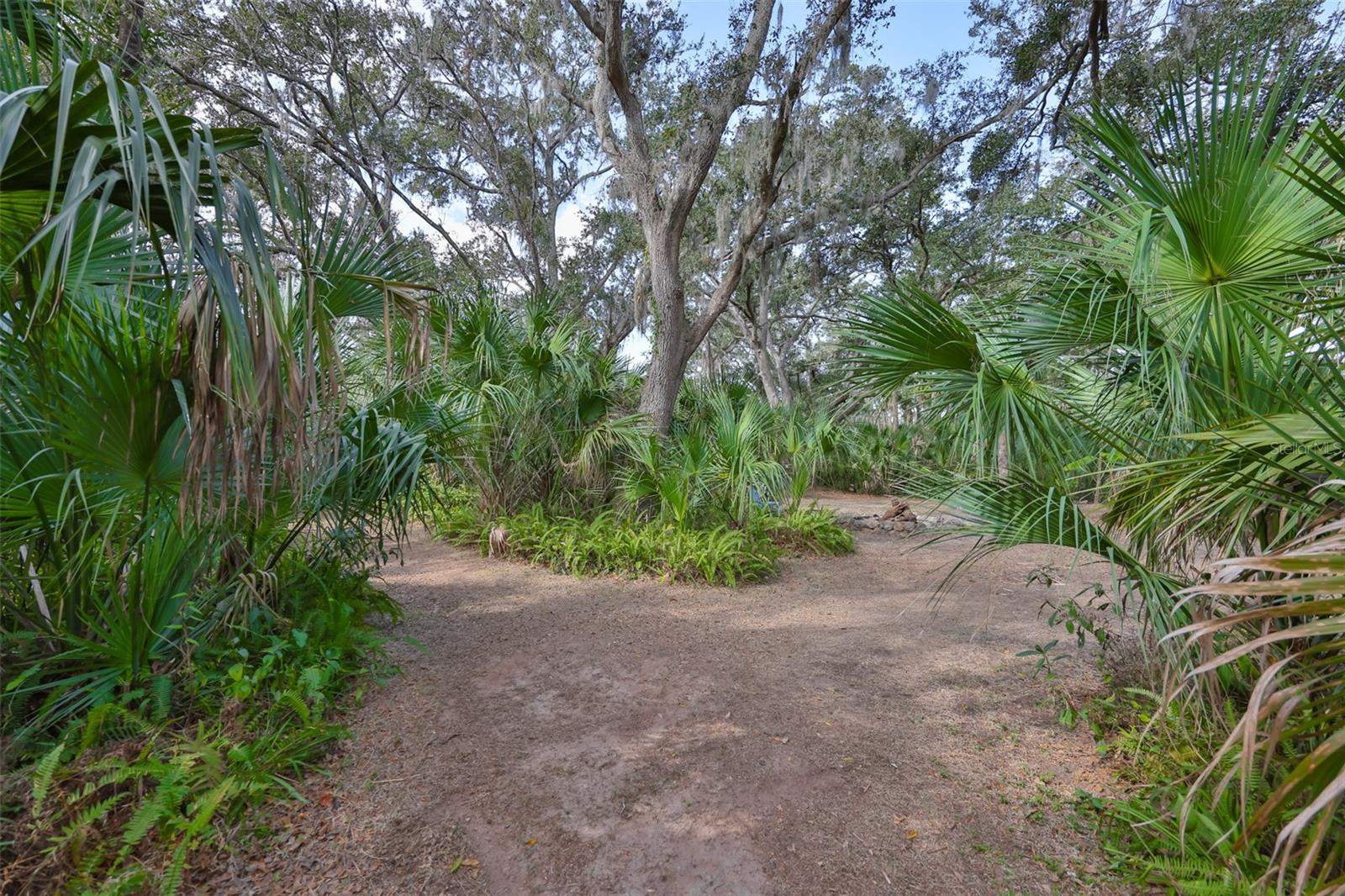 Listing photo id 81 for 3301 Timberlee Road