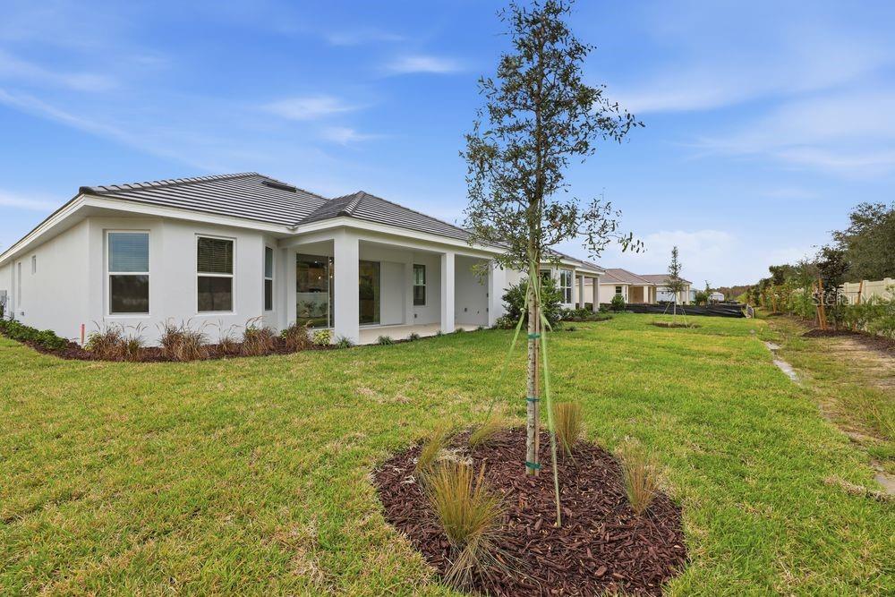 Image 38 of 57 For 30231 Imperati Boulevard