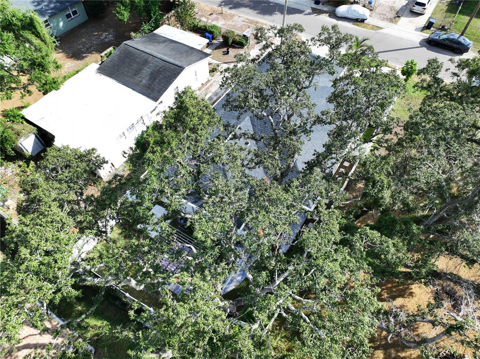 Image 77 of 80 For 1806 Ellicott Street